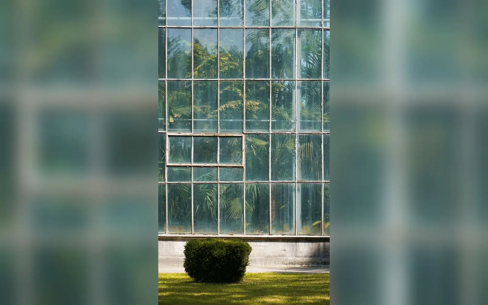 A large glass greenhouse building with lawn in front