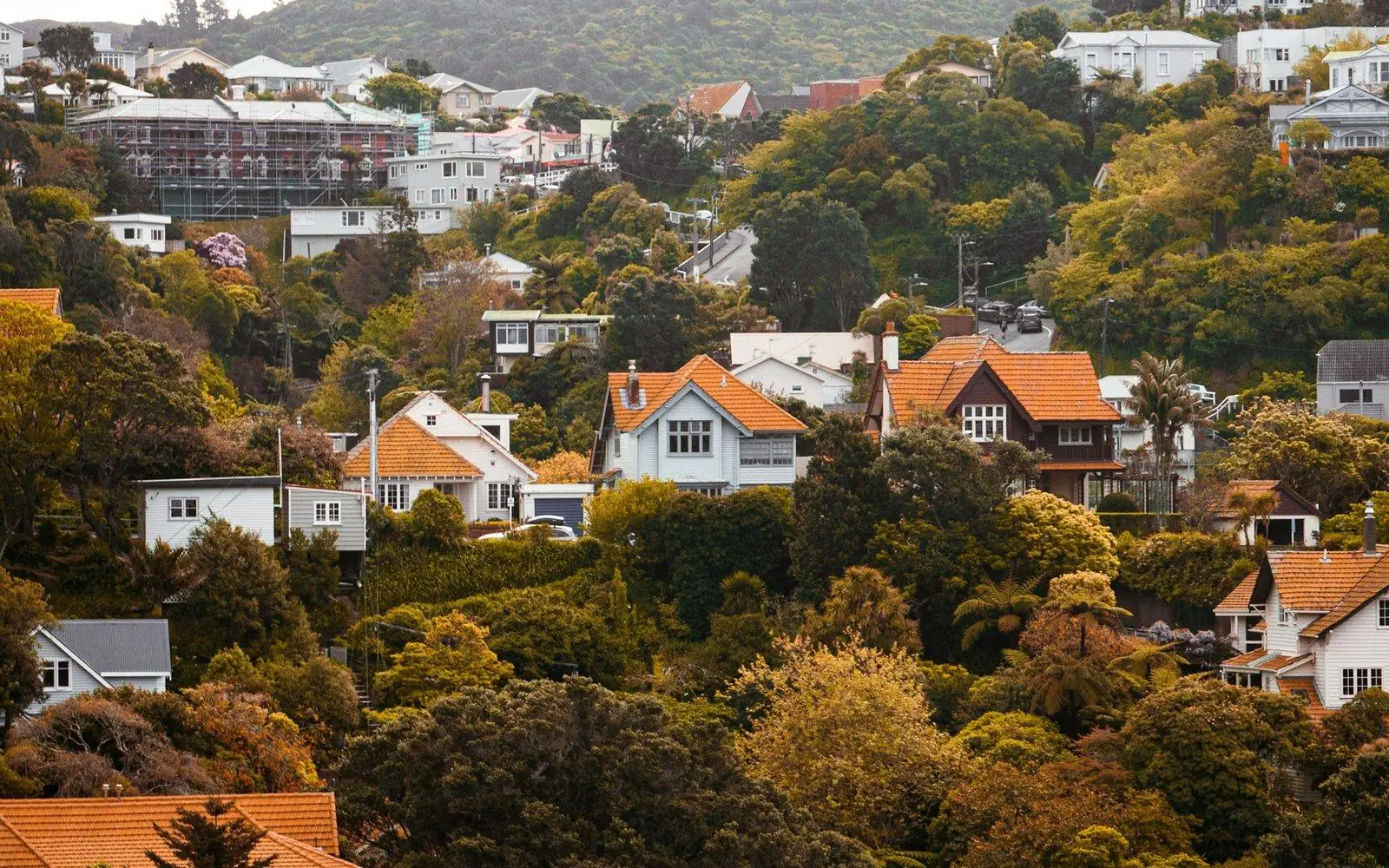 Houses scattered across a bush-covered hillside suburb